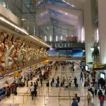 Delhi Airport Declares Full Emergency After Dubai-Bound FedEx Aircraft Suffers Bird Hit